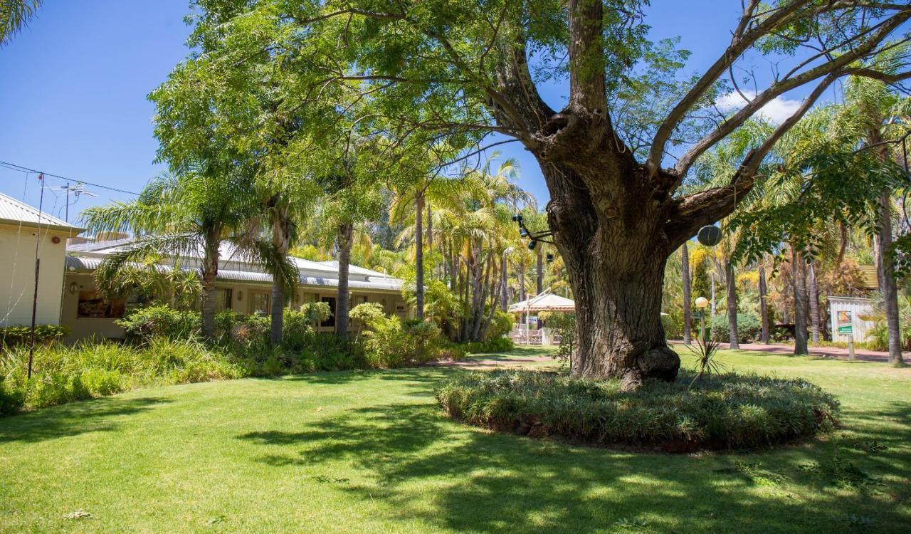 Swan Valley Oasis 3*